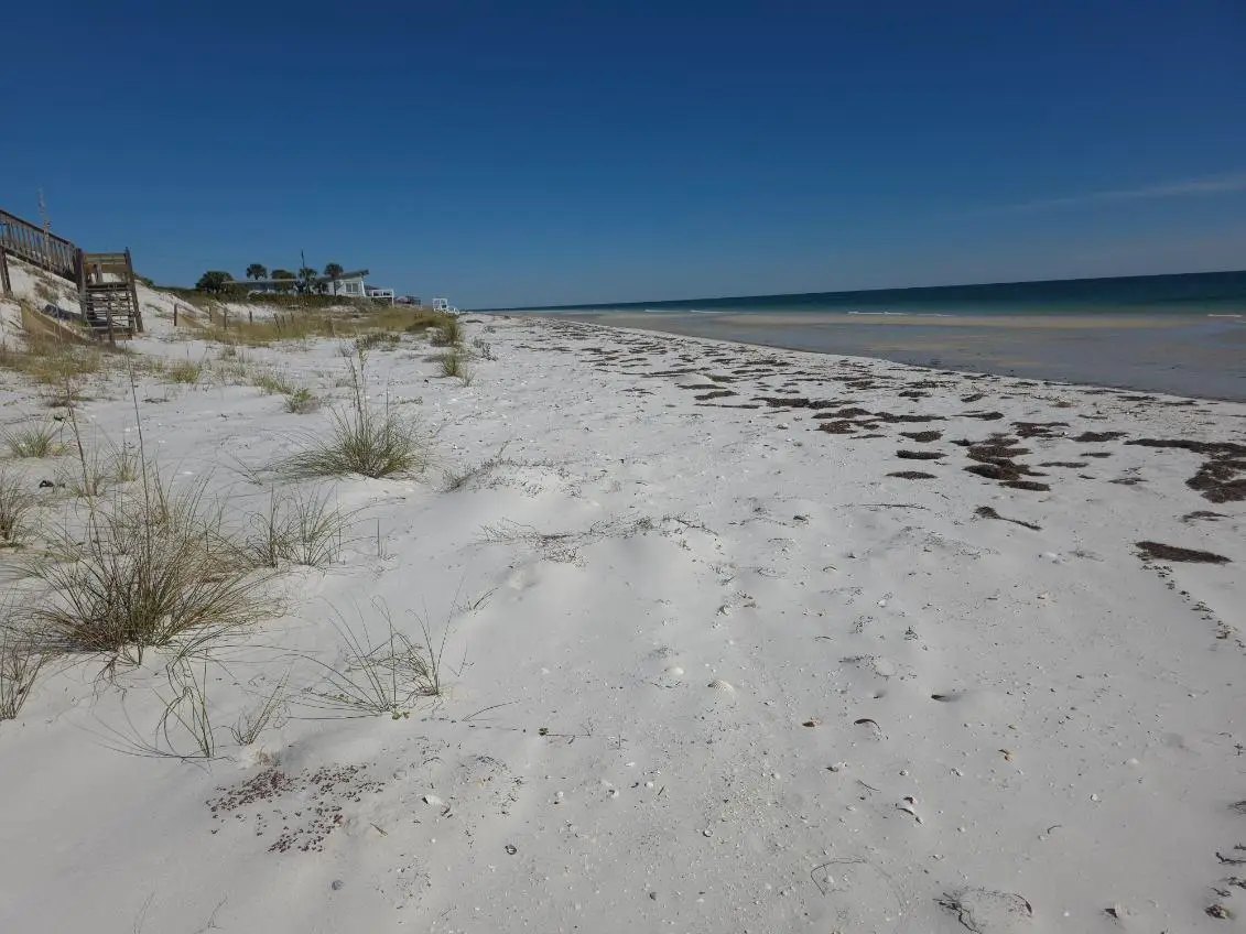 682 Gulf Shore Drive, Carrabelle, FL 32322 - #1