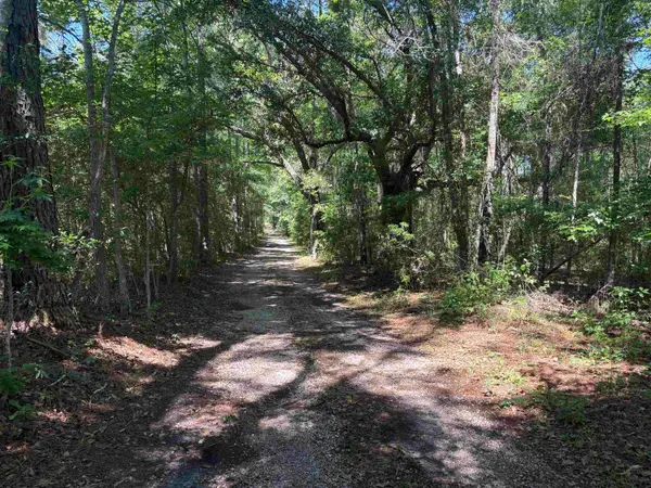 10146 F A Ash Way, Tallahassee, FL 32311