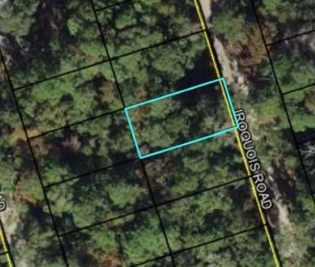 XX Iroqouis Road, Crawfordville, FL 32327 - #1