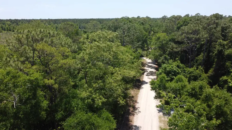 XX Iroqouis Road, Crawfordville, FL 32327 - #2