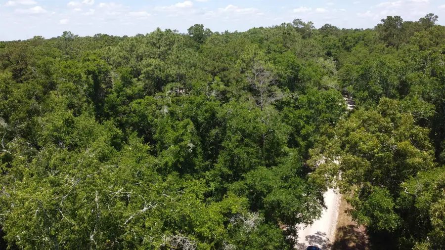 XX Iroqouis Road, Crawfordville, FL 32327 - #3