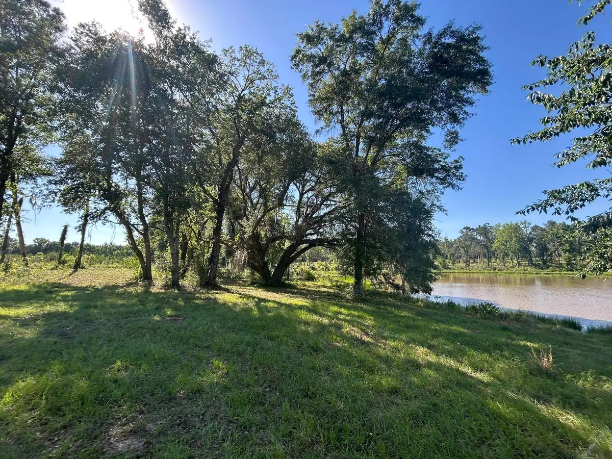 xxx Ben Bostick Road, Quincy, FL 32351 - #1