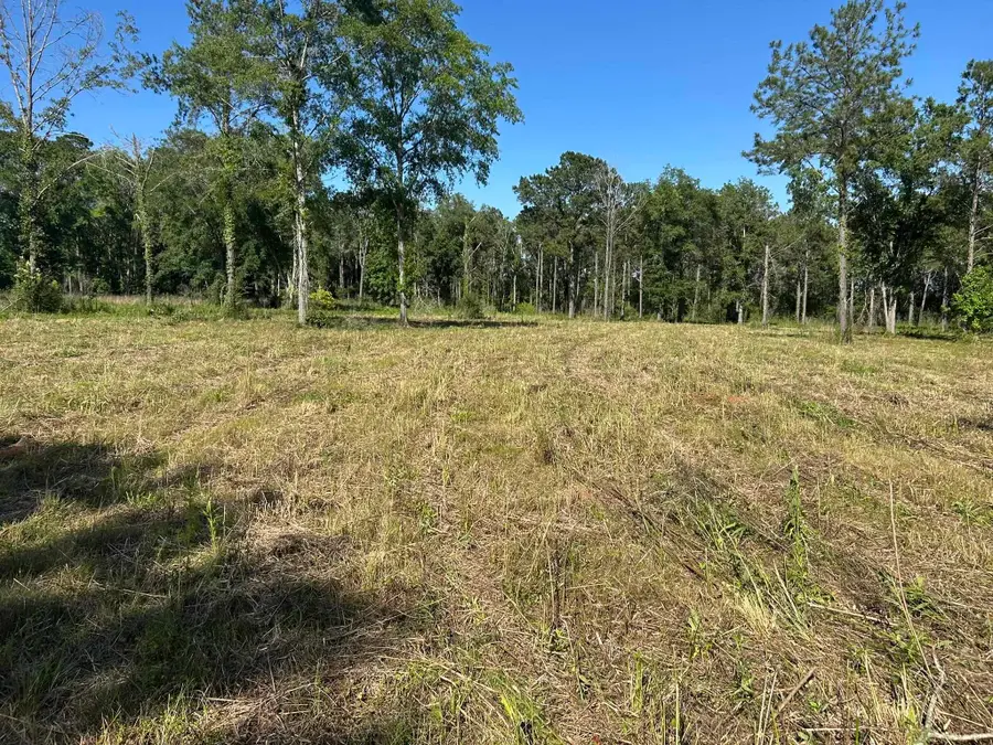 xxx Ben Bostick Road, Quincy, FL 32351 - #2