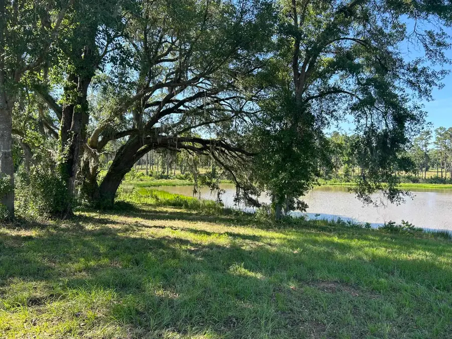 xxx Ben Bostick Road, Quincy, FL 32351 - #3