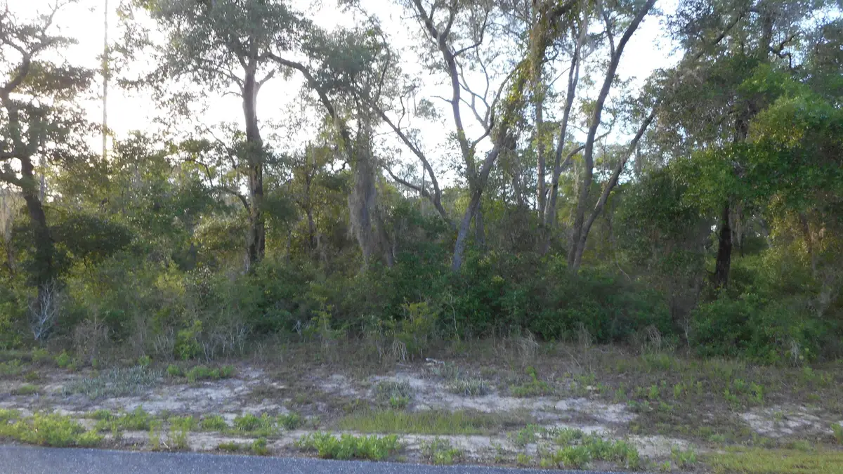 Lot 26 Pelican Way, Ochlockonee Bay, FL 32346 - #1