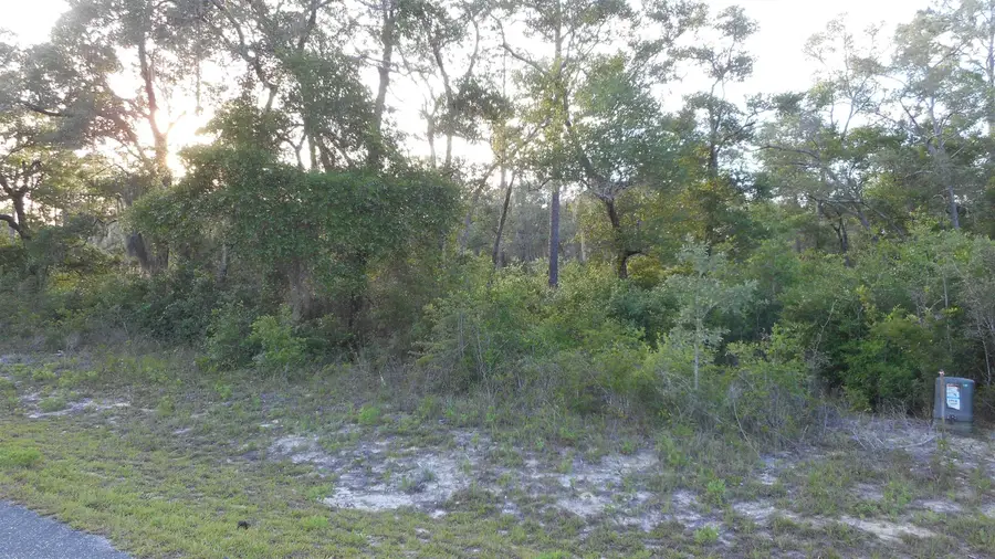 Lot 26 Pelican Way, Ochlockonee Bay, FL 32346 - #3