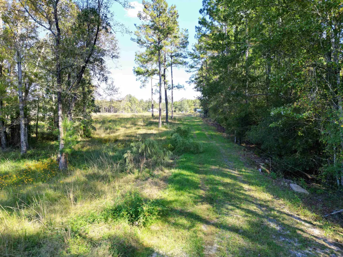 17752 NE Arnold Kelly Road, Hosford, FL 32334 - #1