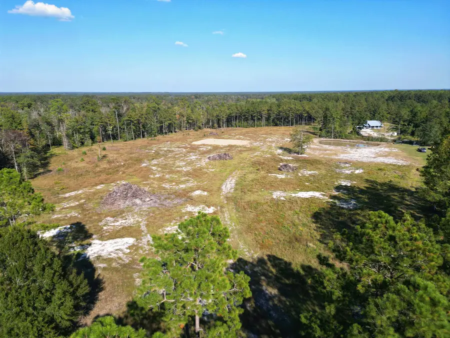 17752 NE Arnold Kelly Road, Hosford, FL 32334 - #2