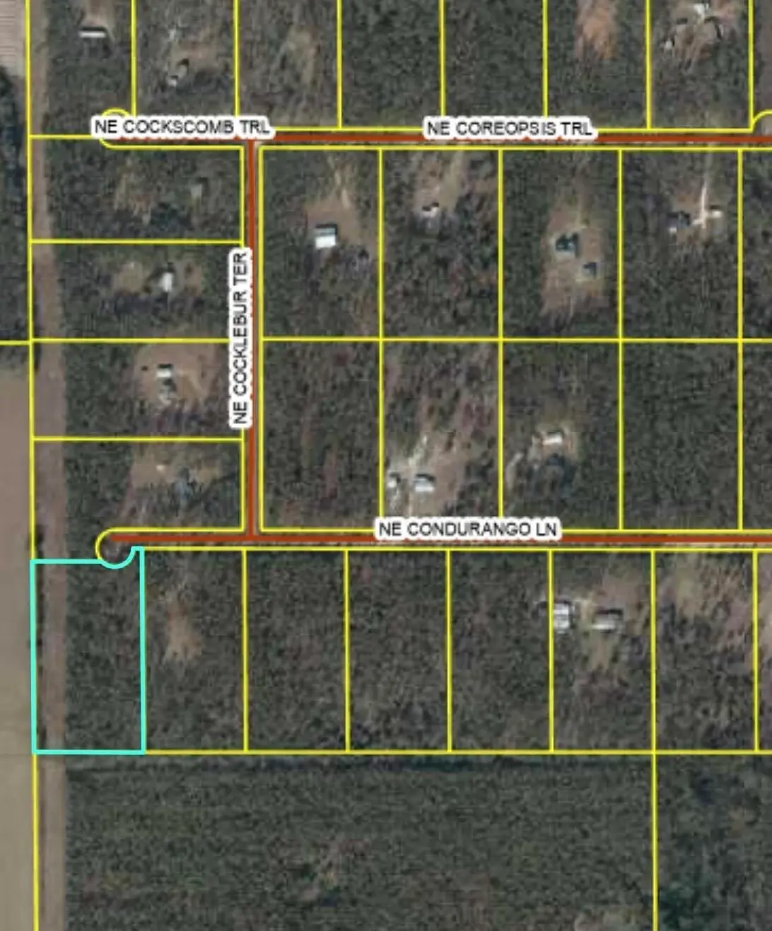 771 NE Condurango Lane, Lee, FL 32059 - #1