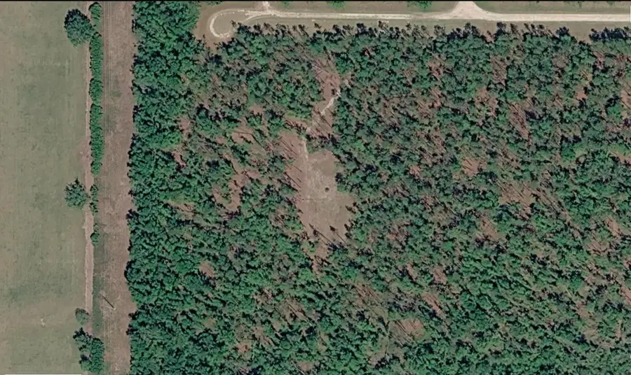 771 NE Condurango Lane, Lee, FL 32059 - #2