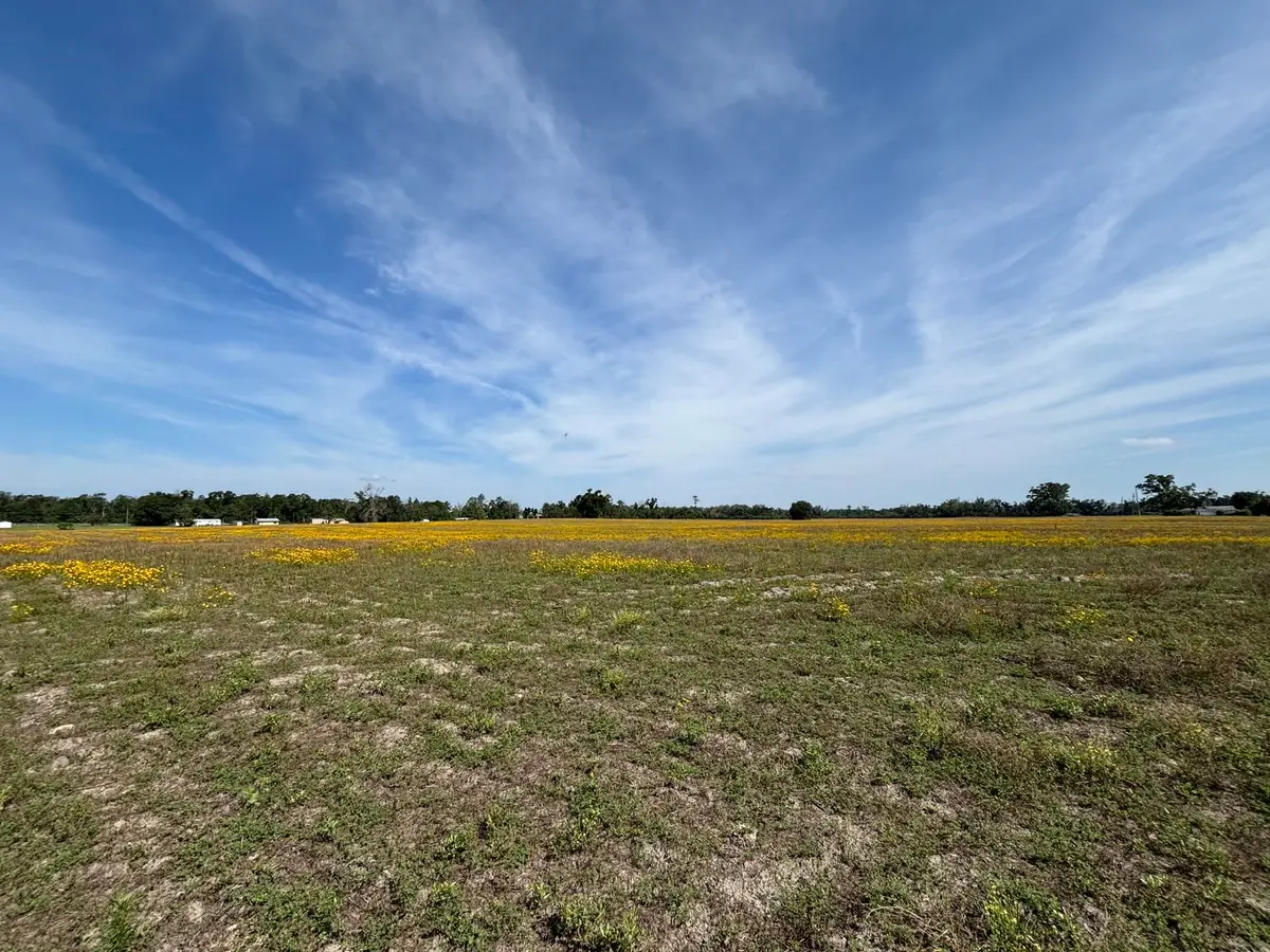 Vacant NE Dill Street, Lee, FL 32340 - #1