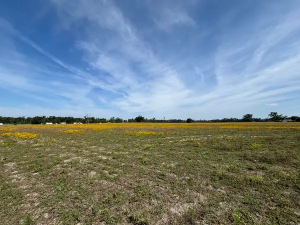 Vacant NE Dill Street, Lee, FL 32340