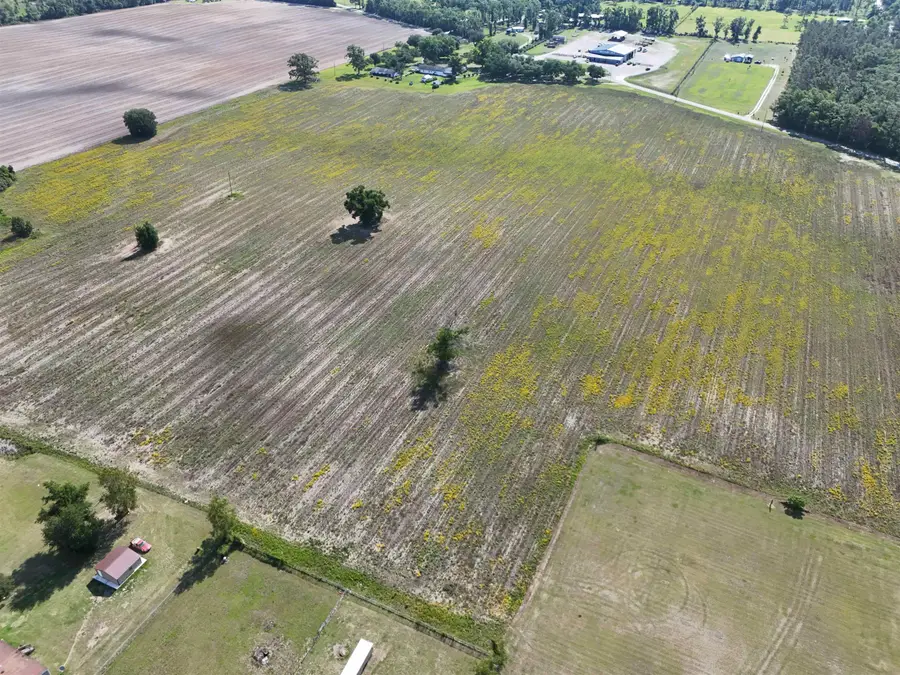 Vacant NE Dill Street, Lee, FL 32340 - #3