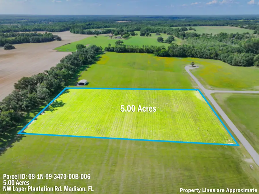 0 NW Loper Plantation Rd., Madison, FL 32340 - #2