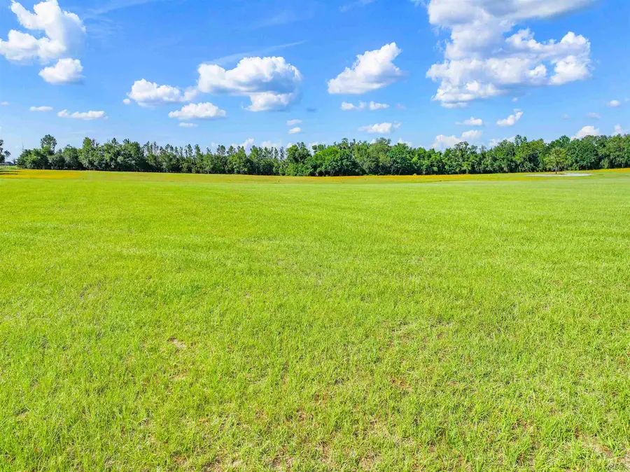 0 NW Loper Plantation Rd., Madison, FL 32340 - #3
