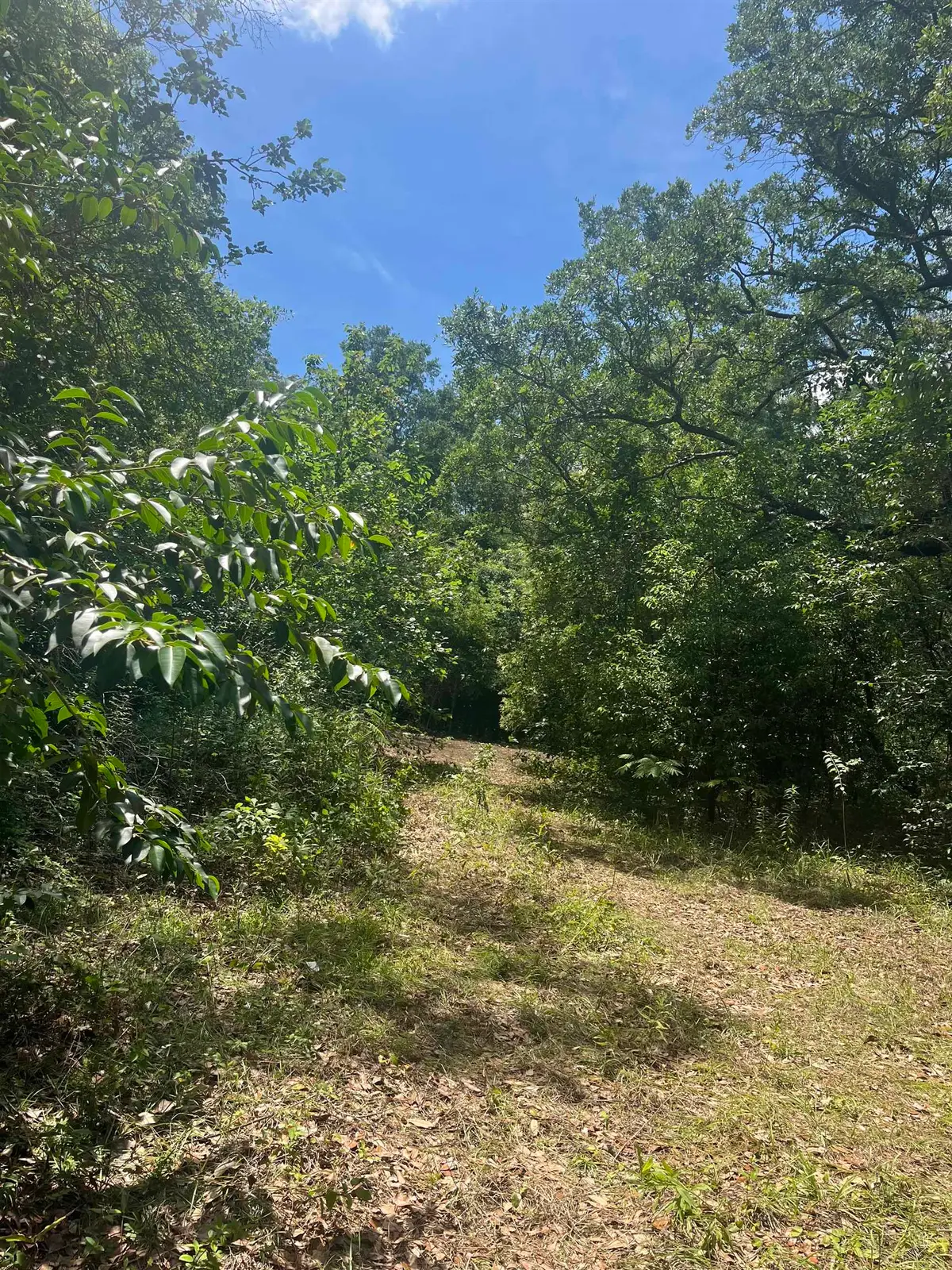 1612 Old Bainbridge Road, Tallahassee, FL 32303 - #1