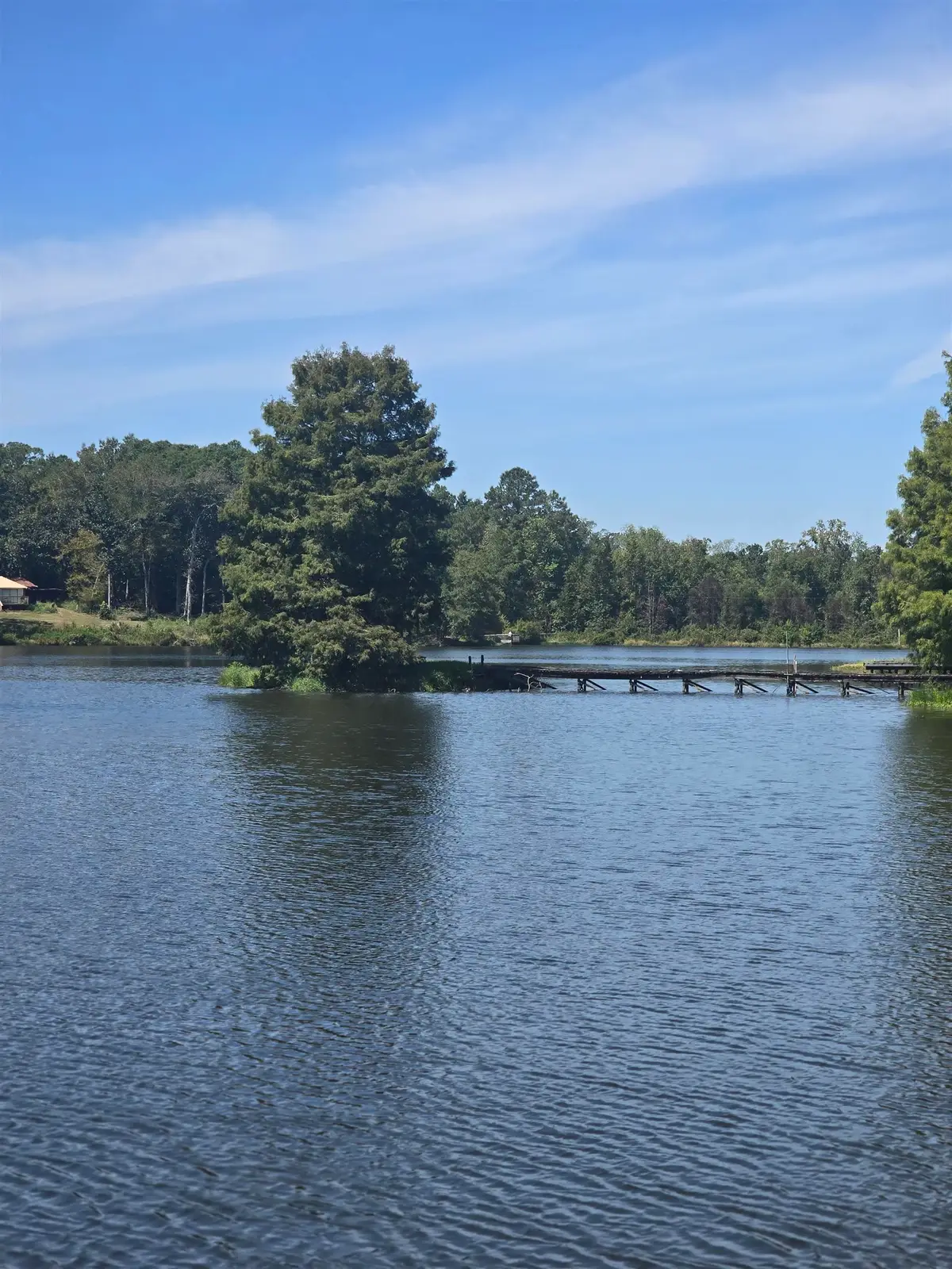 226 My Street, Havana, FL 32333 - #1