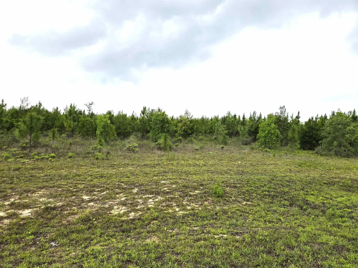 xxx NW Telogia Creek Estates W, Bristol, FL 32321 - #1