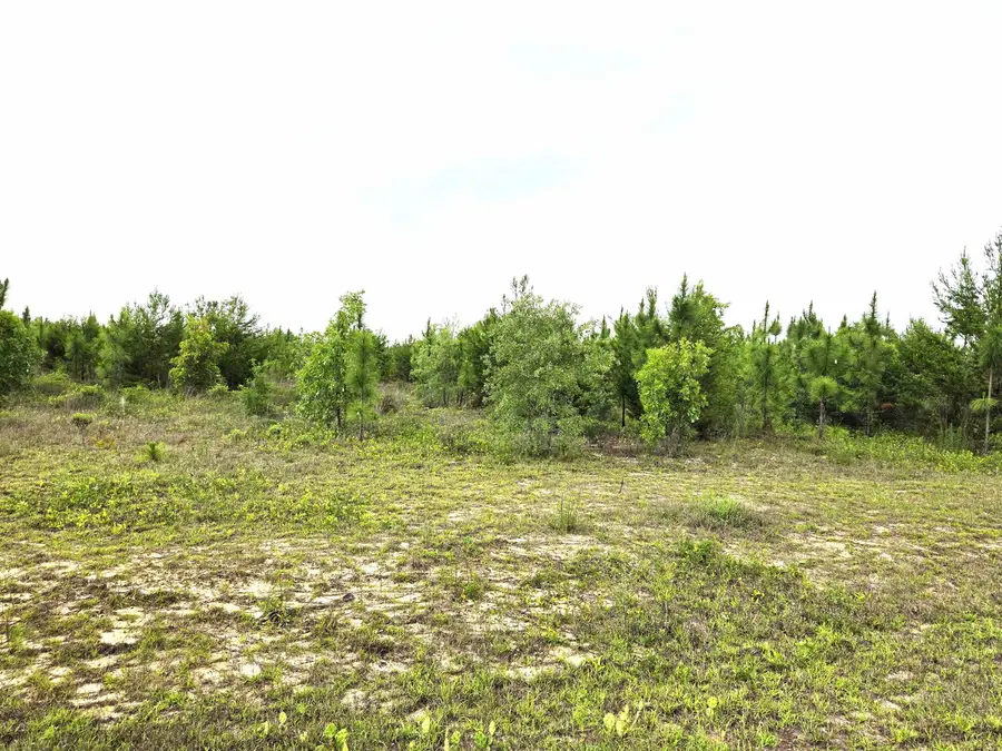 xxx NW Telogia Creek Estates W, Bristol, FL 32321 - #2