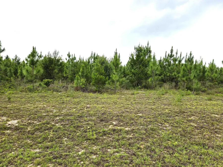 xxx NW Telogia Creek Estates W, Bristol, FL 32321 - #3