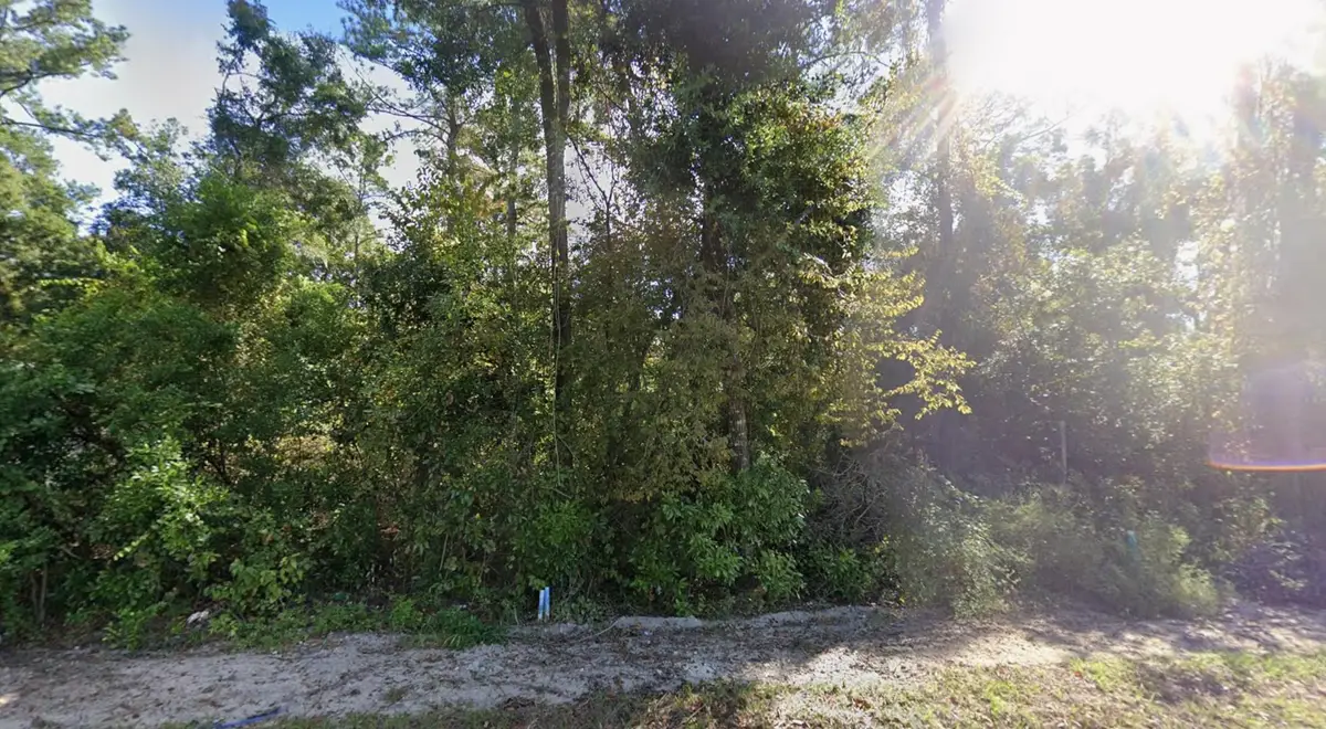 44 Chicopee Road, Crawfordville, FL 32327 - #1