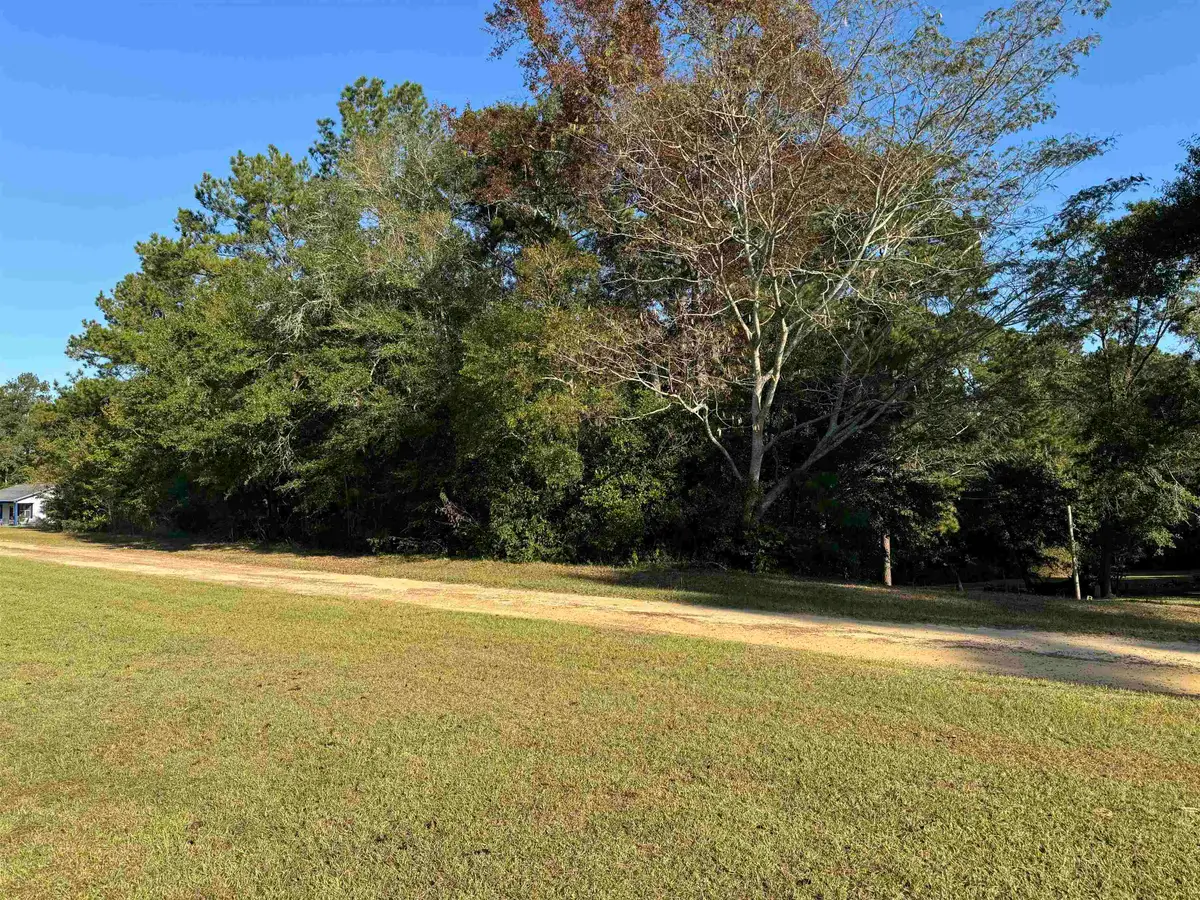 X Attapulgus Highway, Quincy, FL 32352 - #1