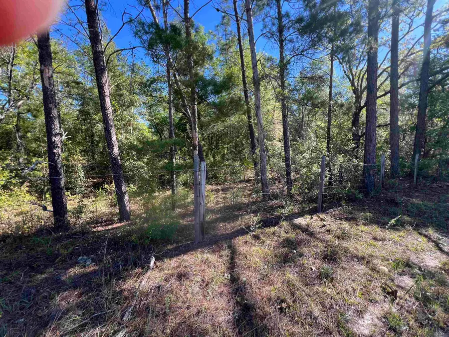 45 Old Federal Highway, Quincy, FL 32351 - #3