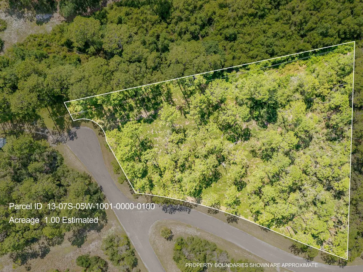 163 Kal Lane, Carrabelle, FL 32322 - #1