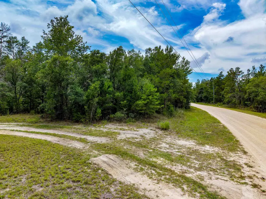 TBD Ocean Pond Drive, Perry, FL 32348 - #2
