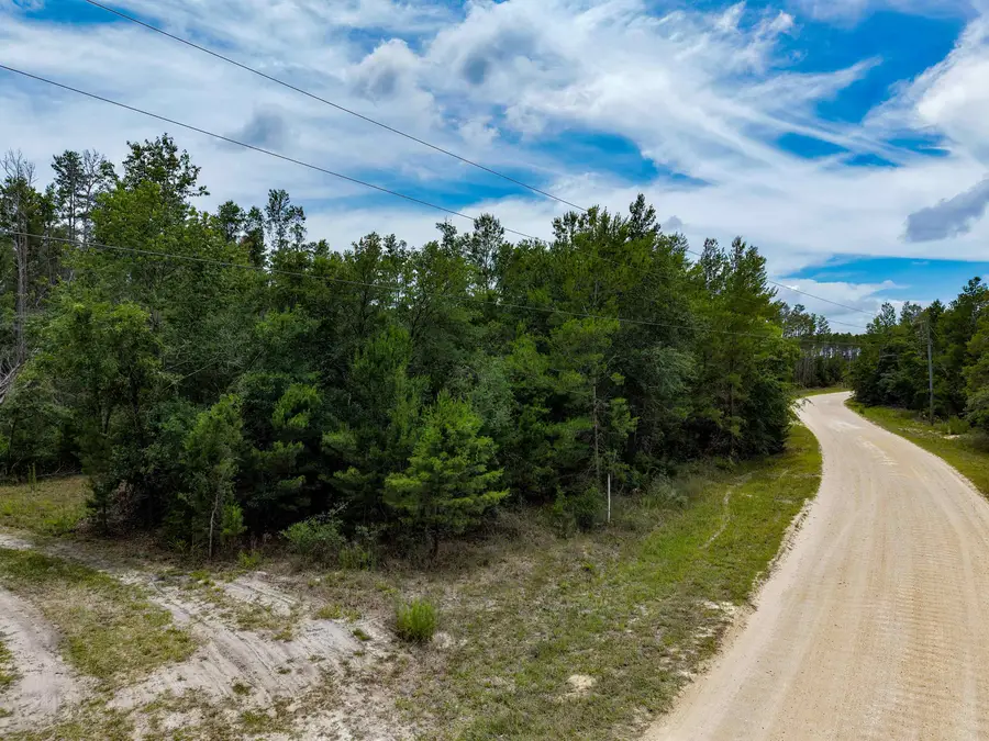 TBD Ocean Pond Drive, Perry, FL 32348 - #3