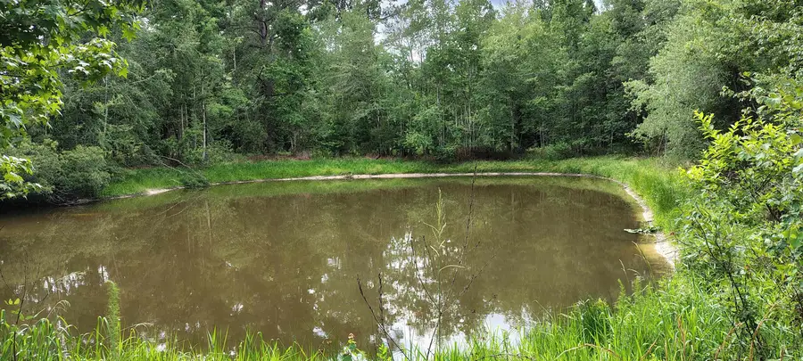 10481 Ashville Highway, Greenville, FL 32331 - #3