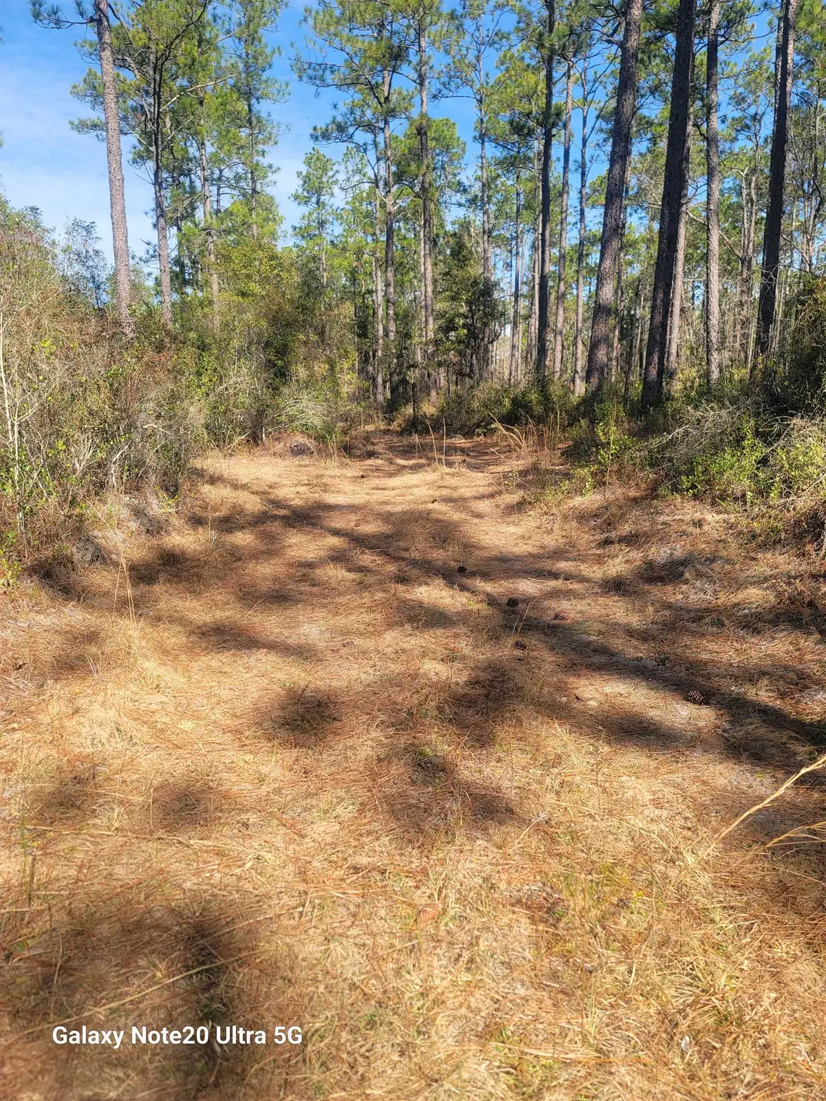 0 Smith Creek Road, Tallahassee, FL 32310 - #1