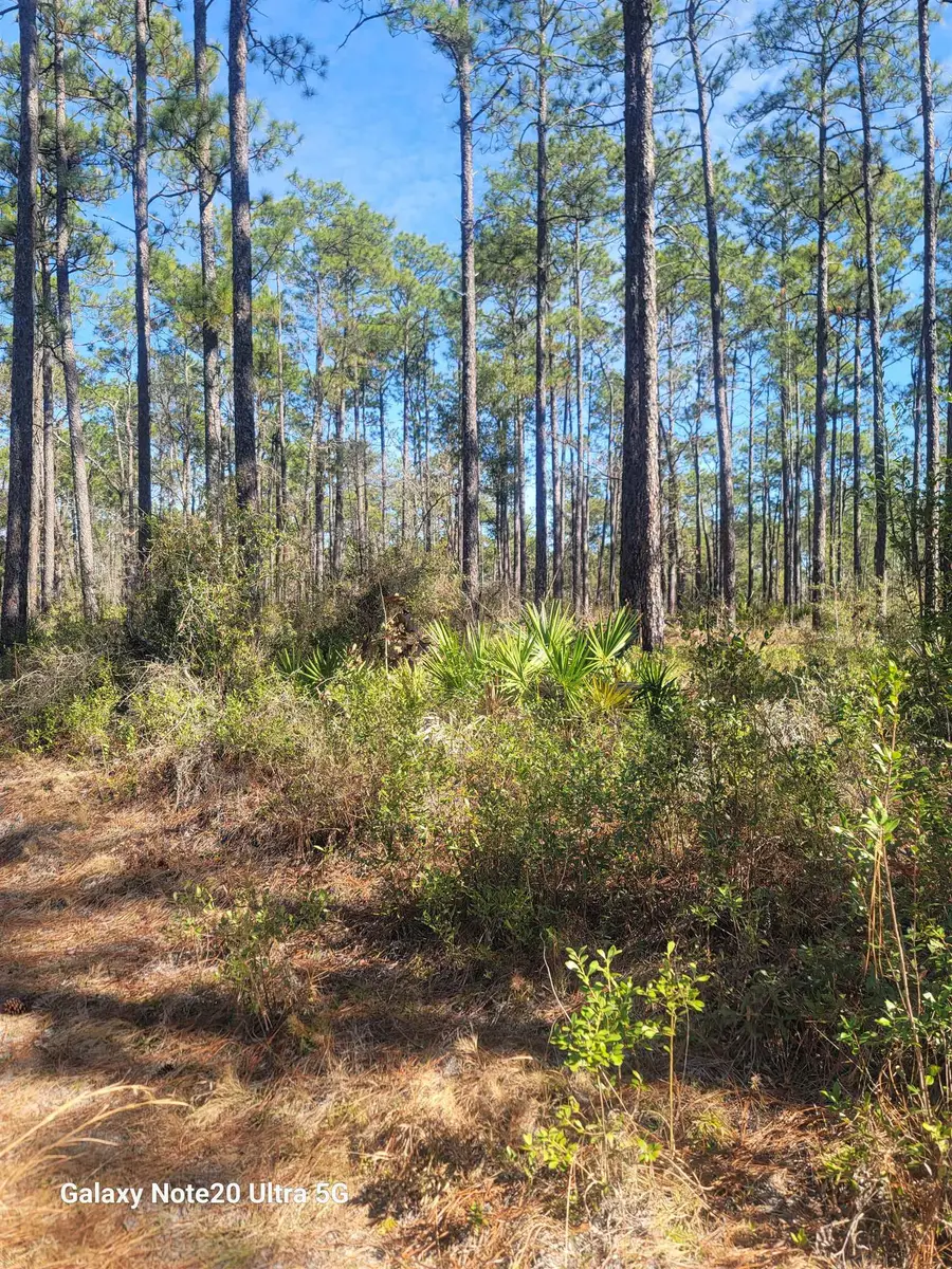 0 Smith Creek Road, Tallahassee, FL 32310 - #3