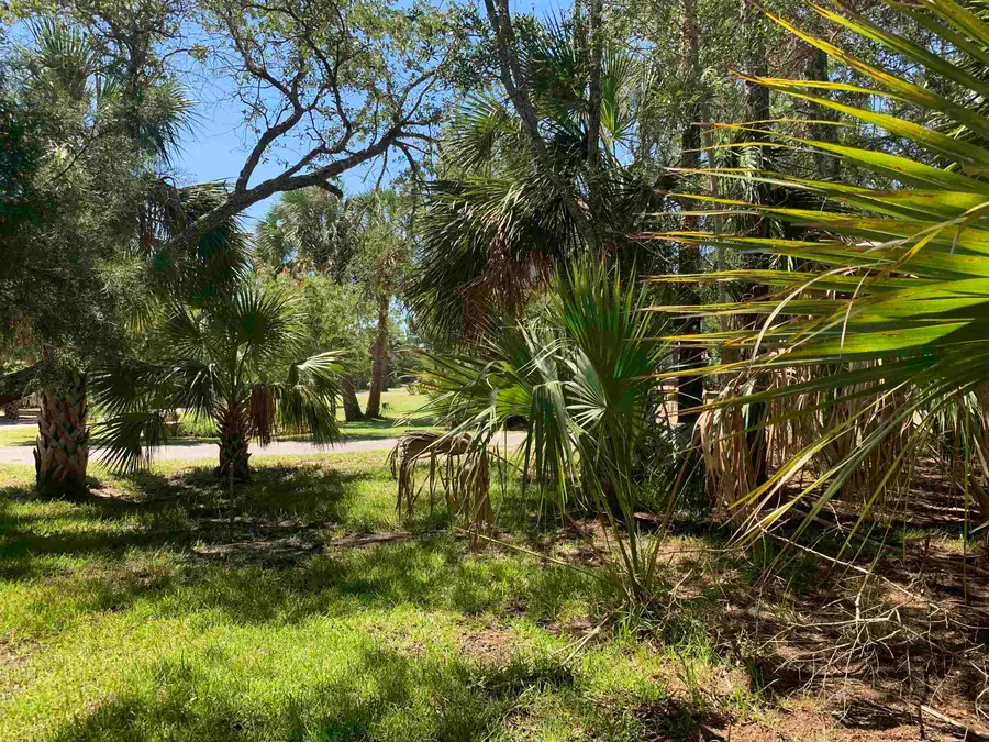 Lot 26 Southside Estates, Crawfordville, FL 32327 - #2