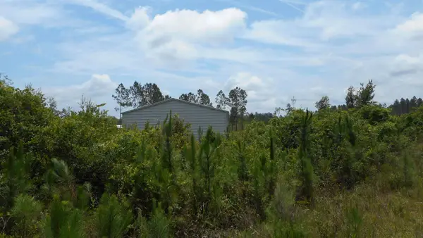 Lot 3 Old Plank Road, Crawfordville, FL 32327