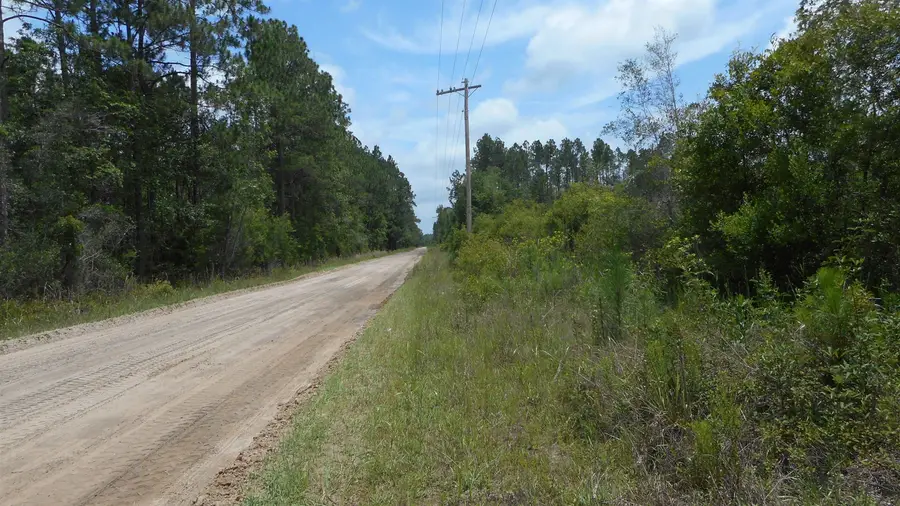 Lot 3 Old Plank Road, Crawfordville, FL 32327 - #2