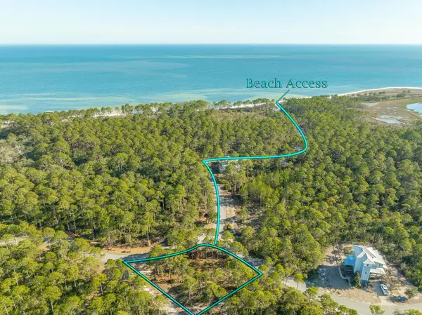 173 Lightining Bug Lane, St Teresa, FL 32358