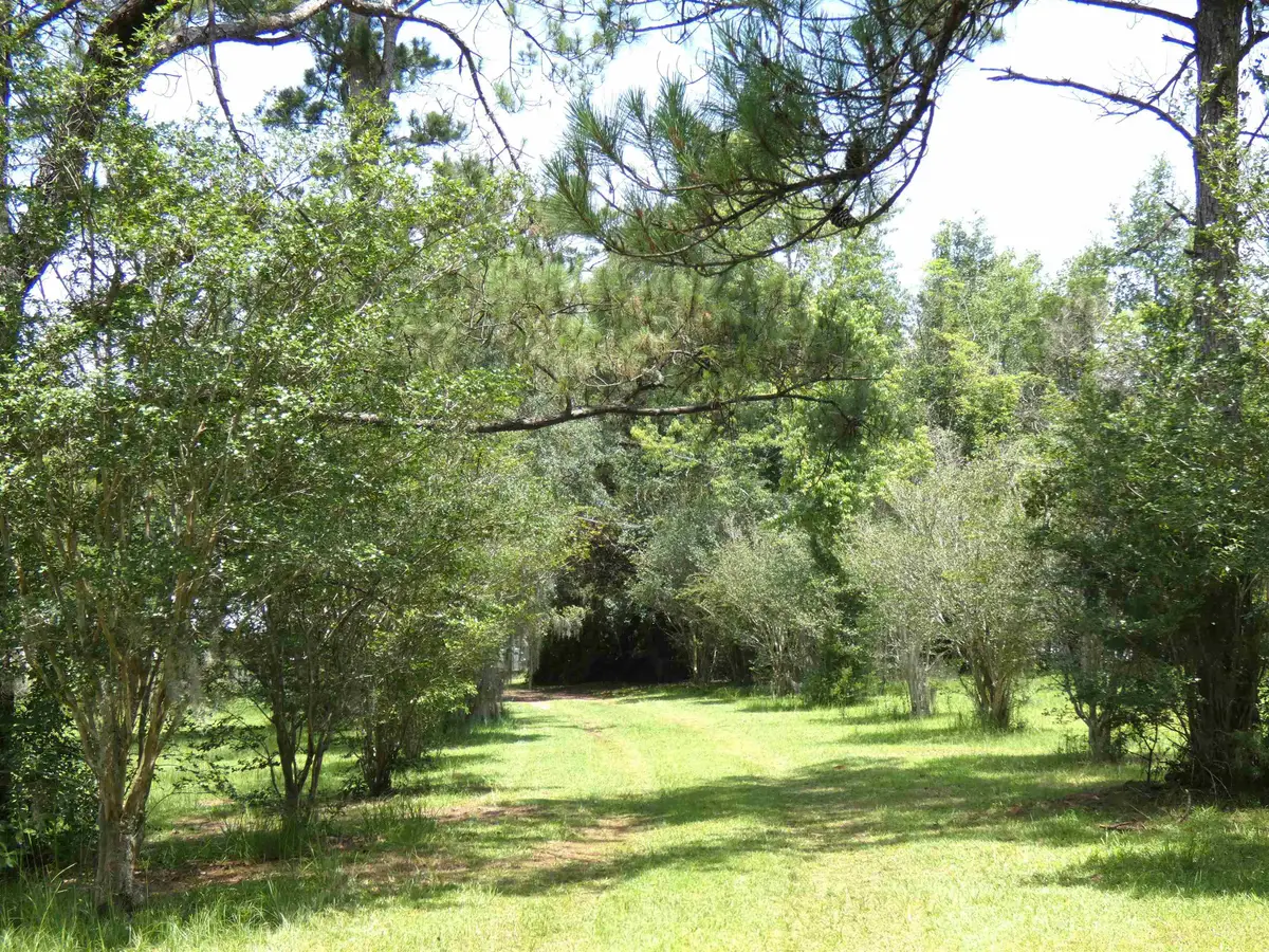 790 Wj Hatchett Road, Lamont, FL 32336 - #1
