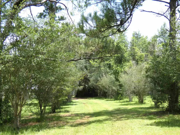 790 Wj Hatchett Road, Lamont, FL 32336