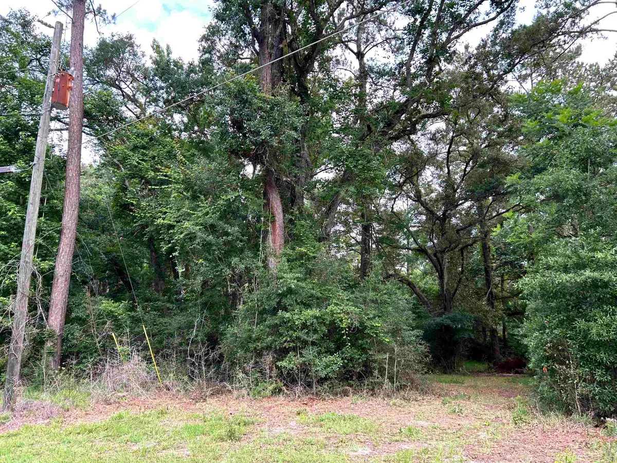 185 Pixie Circle, Crawfordville, FL 32327 - #1