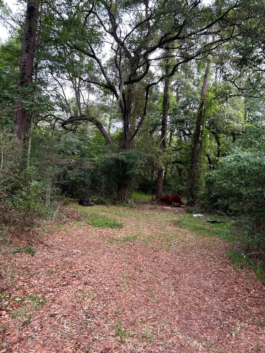 185 Pixie Circle, Crawfordville, FL 32327 - #2