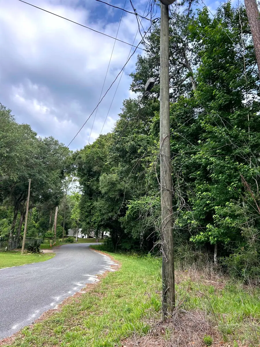 185 Pixie Circle, Crawfordville, FL 32327 - #3