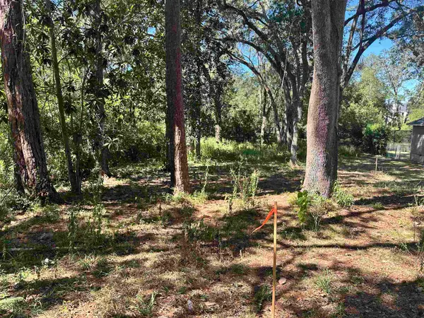 xxx Trescott Drive, Tallahassee, FL 32308
