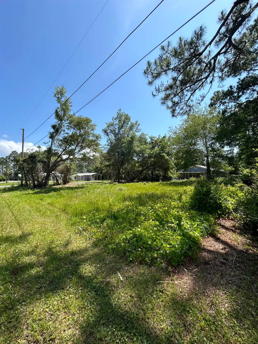 2531 Franklin Street, Carrabelle, FL 32323 - #3