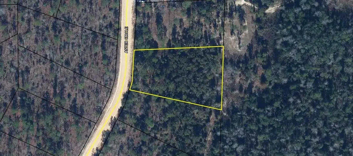 911 Aster Circle, Marianna, FL 32446 - #1