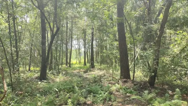 0 Cox Road, Monticello, FL 32344