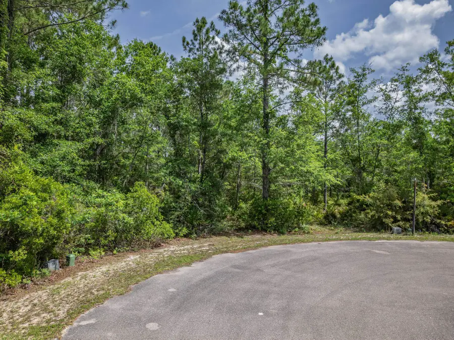 0 Old Palmetto Path, Saint Marks, FL 32355 - #3