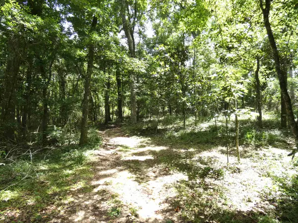 tbd Gamble Road, Monticello, FL 32344