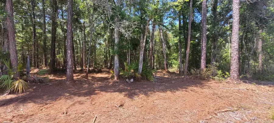 0 Blountstown Highway, Tallahassee, FL 32310 - #2