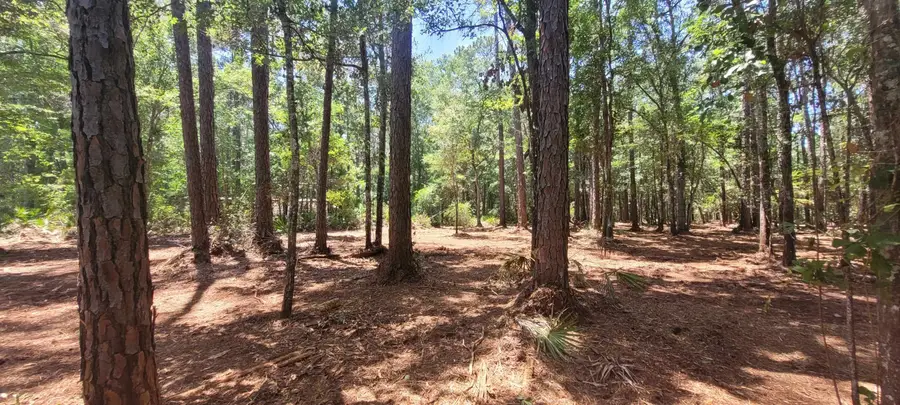 0 Blountstown Highway, Tallahassee, FL 32310 - #3